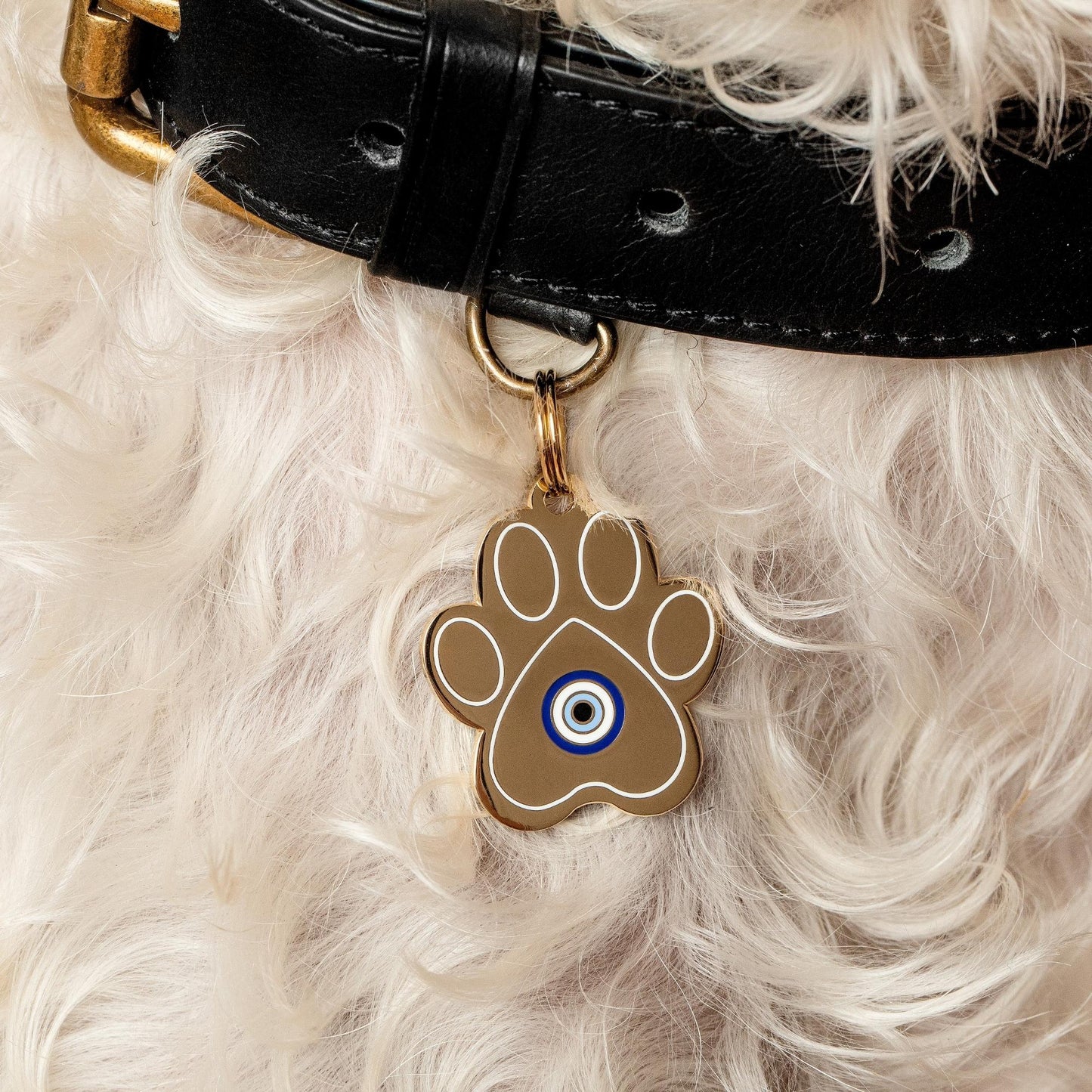 Evil Eye Paw