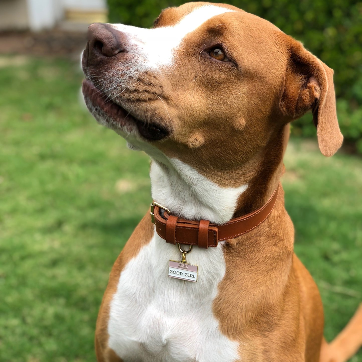 Good Girl