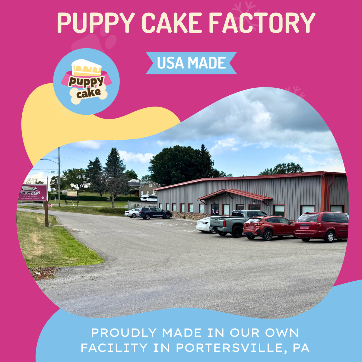 Dog Birthday Cake Kit