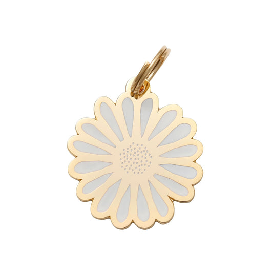 Daisy