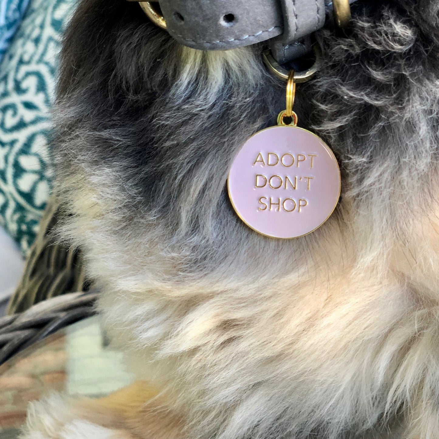 Adopt Don't Shop ( Pink)