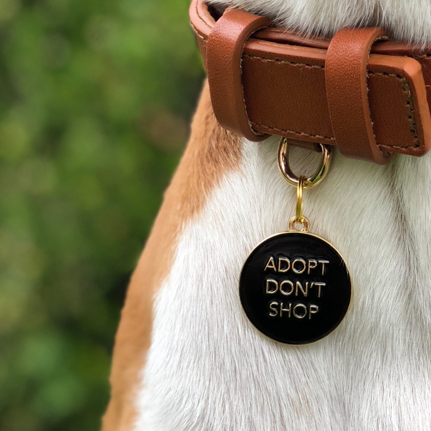 Adopt Don't Shop ( Black)