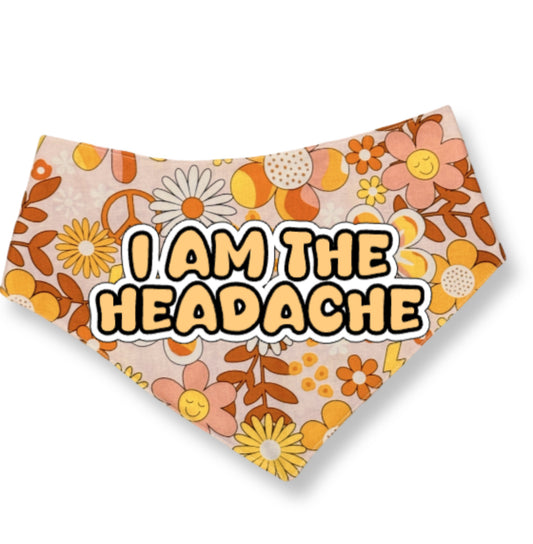 I am the Headache