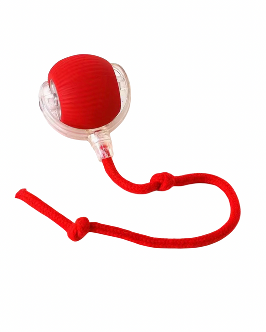 Wag N' Toss Orbit Ball